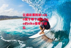 亿盛彩票购彩-niko属于哪个战队csgo的niko是哪个战队